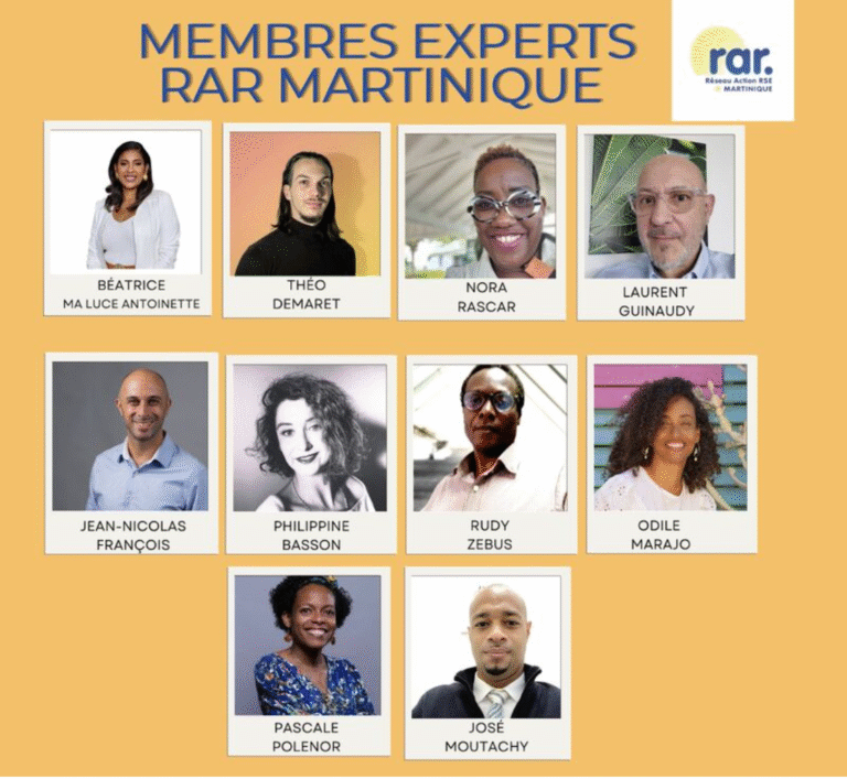 Saviez-vous que derrière chaque initiative RSE EN MARTINIQUE se cache un expert engagé ?!