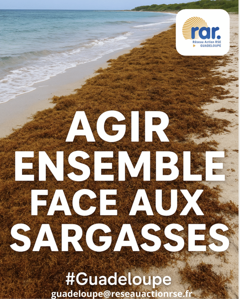 🌊 Sargasses : anticiper pour mieux protéger notre territoire